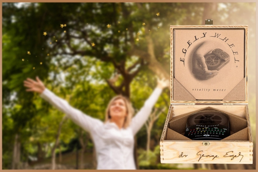 Egely wheel (colo) to measure energies