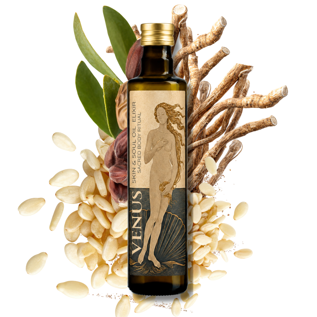 Venus Oil