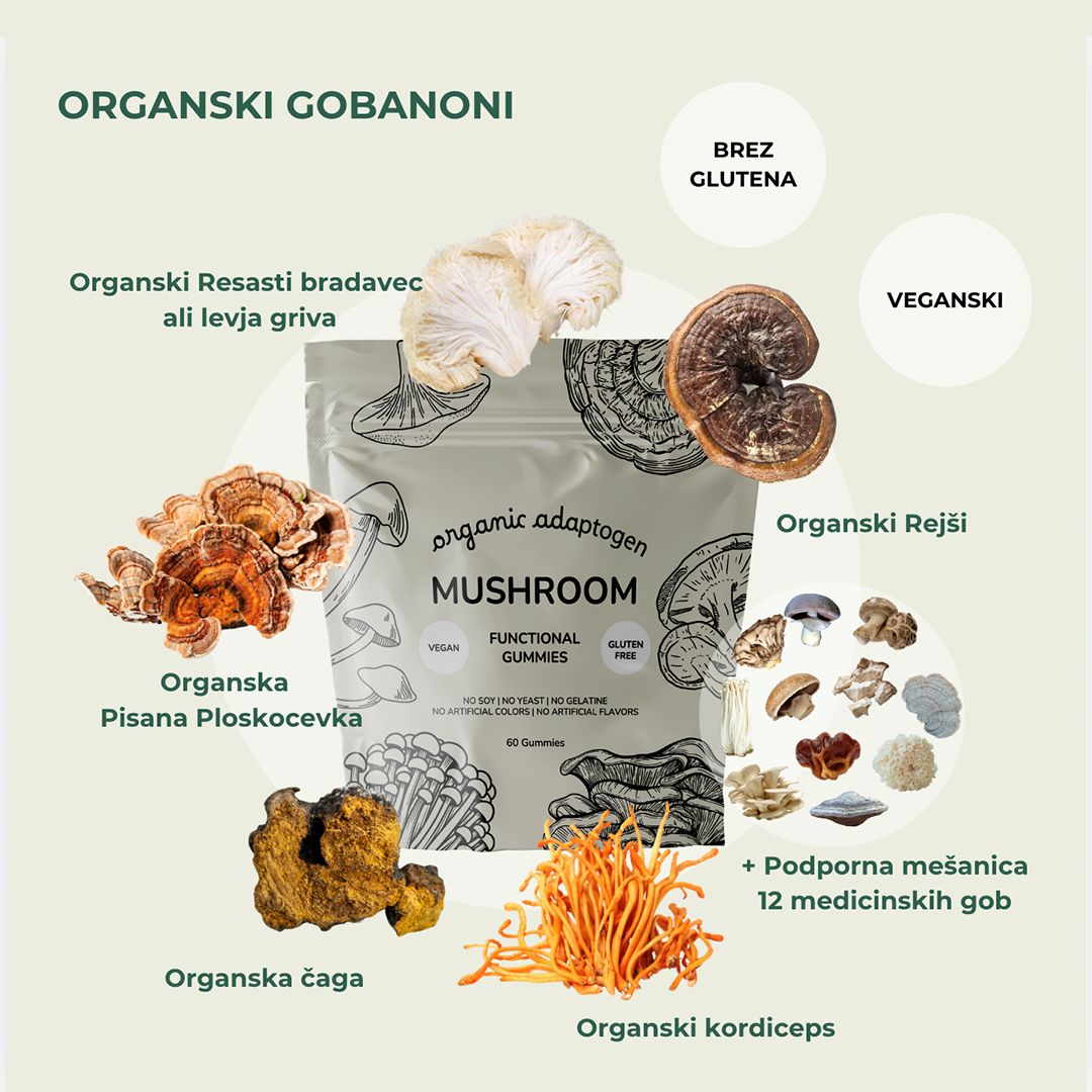 GOBABONI - Organic Adaptogen mushroom gummie