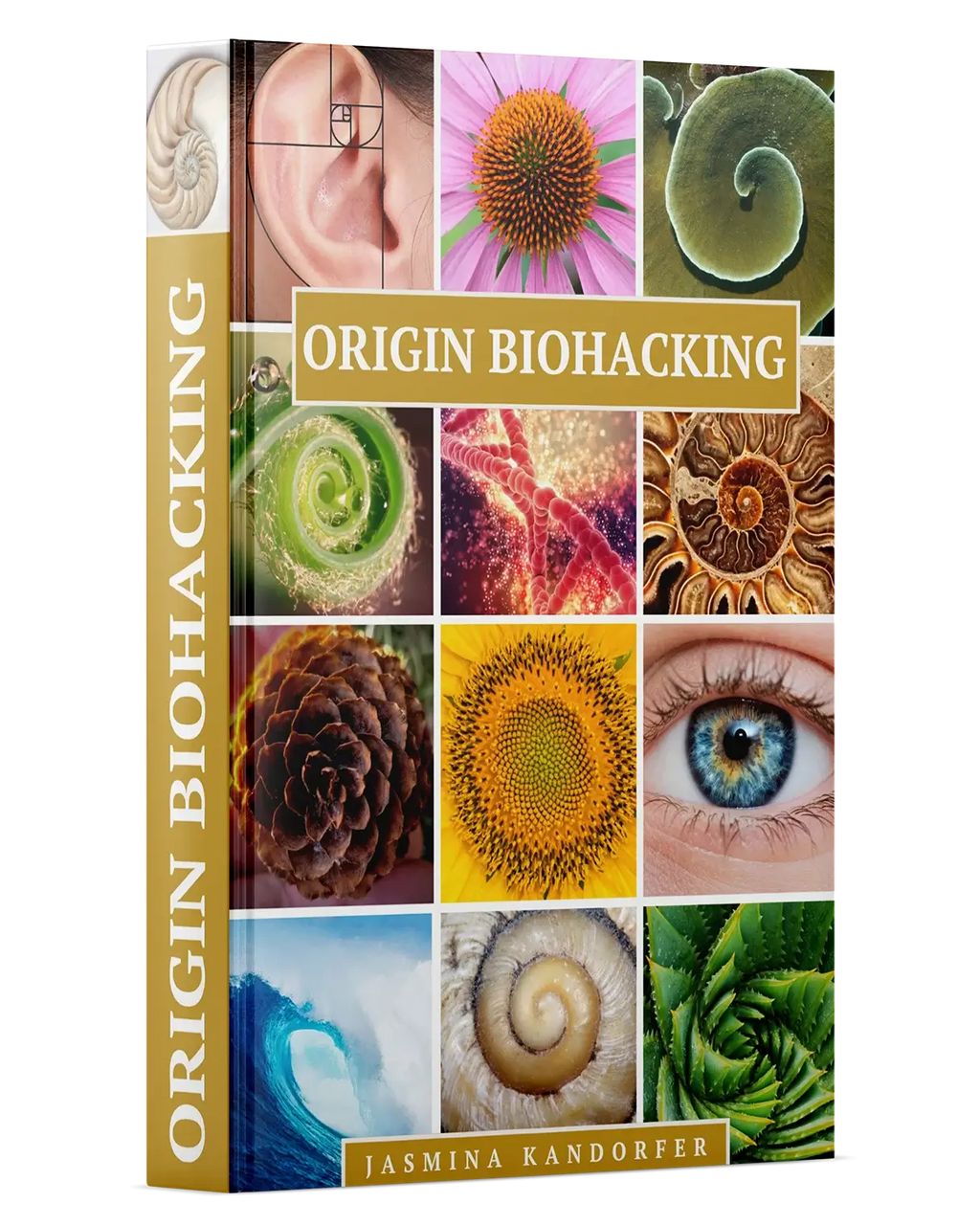 Biohacking zdravja (Jasmina Kandorfer)