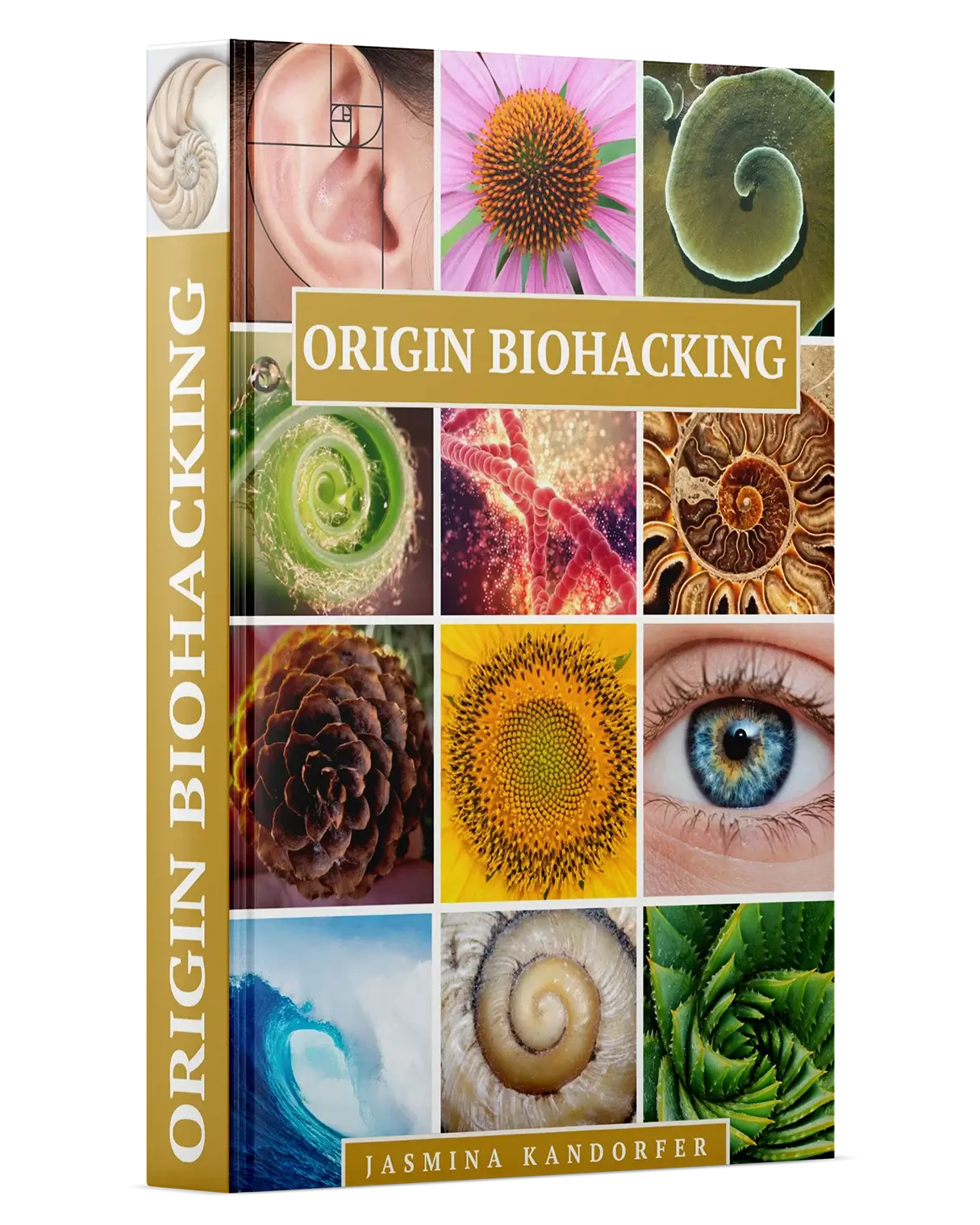 Biohacking Health (Jasmina Kandorfer)